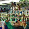 Divisional_Sports_meet_2019