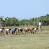 Divisional_Sports_meet_2019