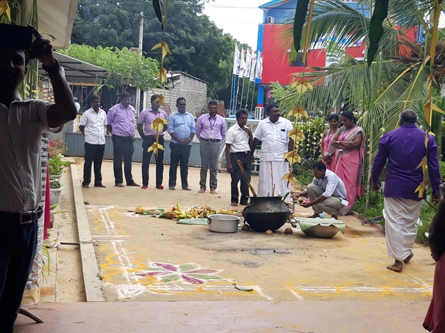 pongal